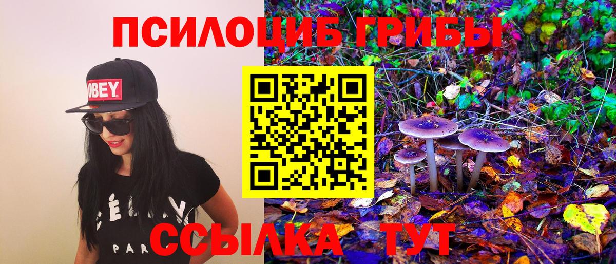 Псилоцибиновые грибы прущие грибы Миллерово